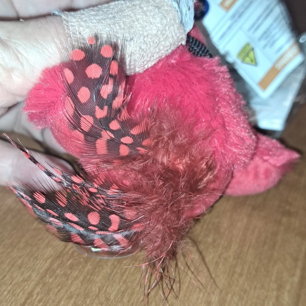 Cat Chirping Bird / BUNDLE ONLY